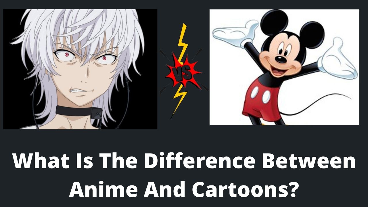 the difference between anime and cartoons
