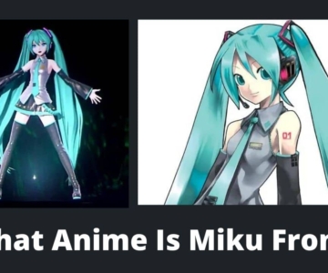 What Anime Is Miku From