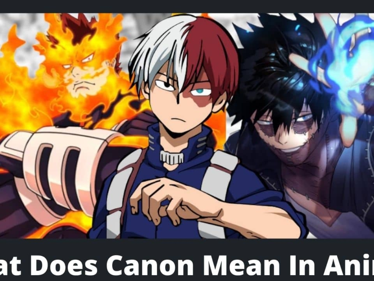 What Does Canon Mean In Anime? Brief History And Meanings - MyAnimeFacts