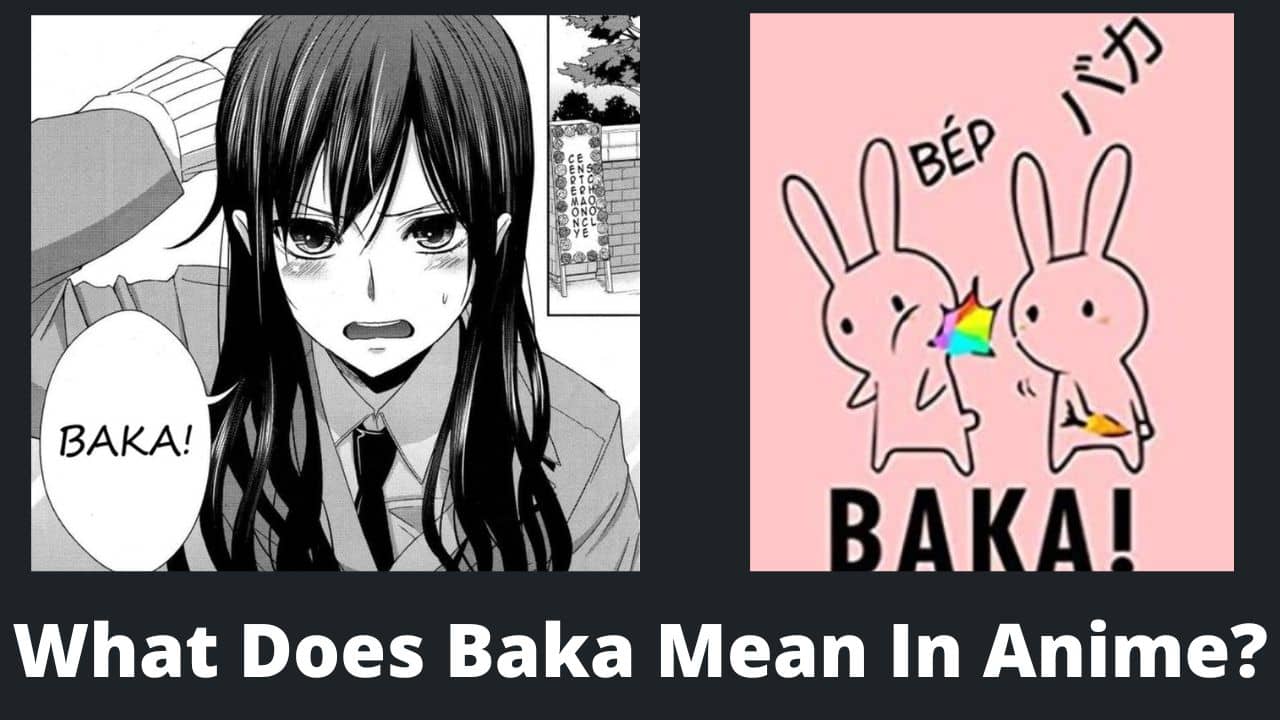 What Does Baka Mean In Anime