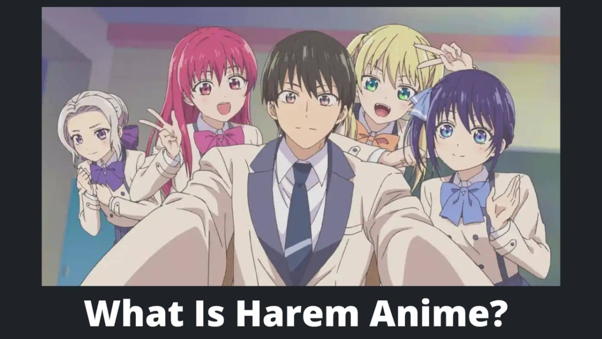 What Is Harem Anime? Everything you want to know - MyAnimeFacts