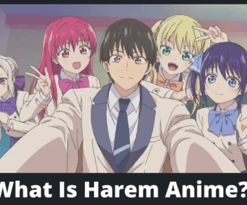 What Is Harem Anime